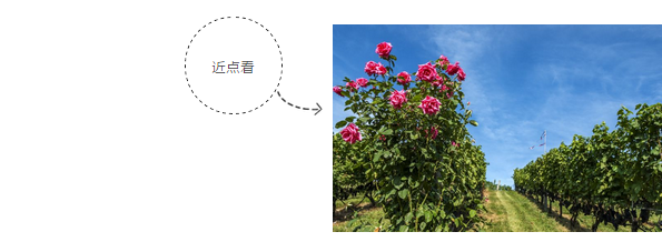 微信图片_201812281759341.png