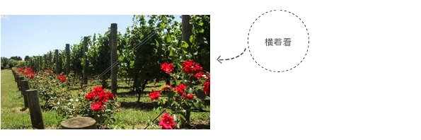 微信图片_201812281759342.png