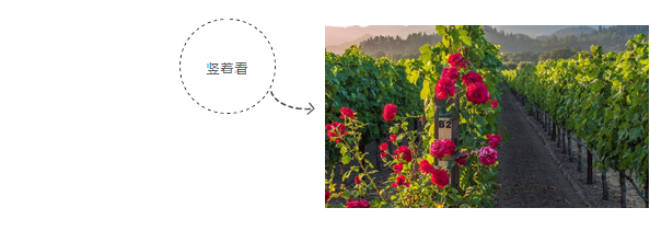 微信图片_201812281759343.png